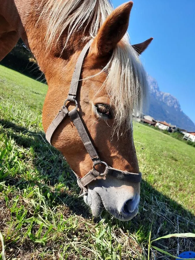 La Casetta Di Biancaneve Valtellina E Lago Di Como Dubino Italy