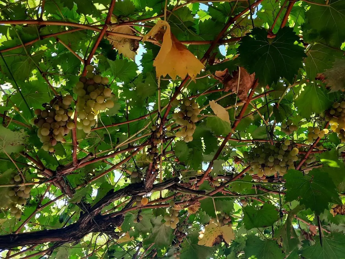 La Casetta Di Biancaneve Valtellina E Lago Di Como Dubino Сasa de vacaciones